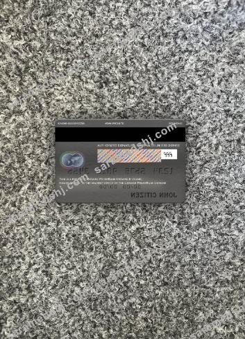 Ukraine PrivatBank mastercard photolook back